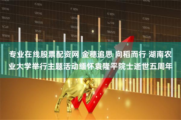专业在线股票配资网 金穗追思 向稻而行 湖南农业大学举行主题活动缅怀袁隆平院士逝世五周年